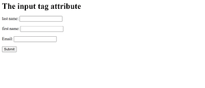the input tag attribute example

